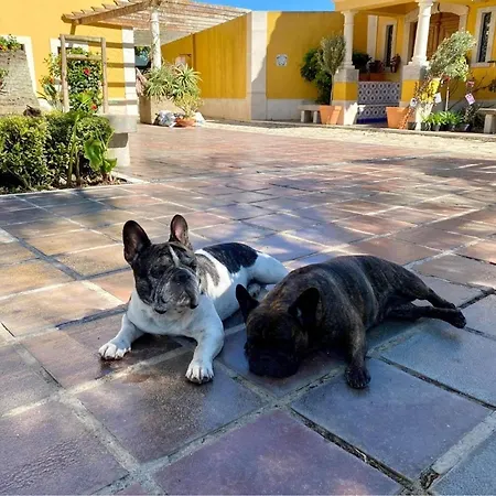 Gospodarstwo agroturystyczne Charm Azenha Dobidos Farm *