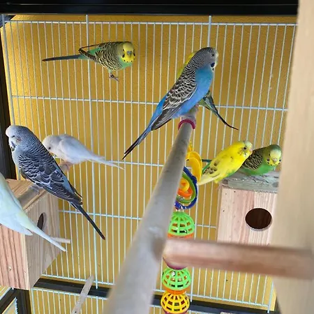 مزرعة للإقامة Charm Azenha Dobidos Farm