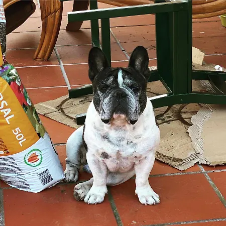 Charm Azenha Dobidos Farm Olho Marinho