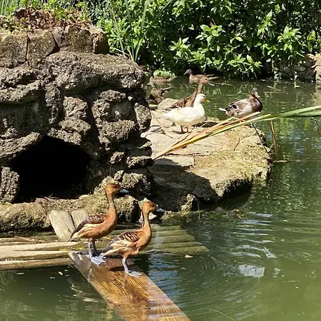 Charm Azenha Dobidos Farm *