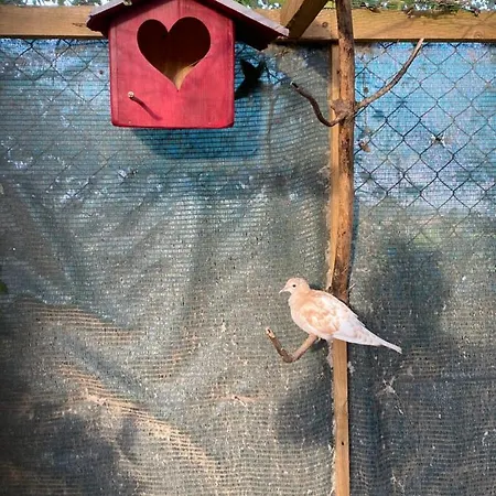 Charm Azenha Dóbidos Farm Farmház Olho Marinho