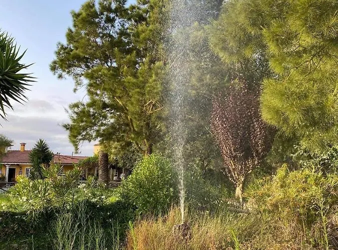 Charm Azenha Dobidos Farm