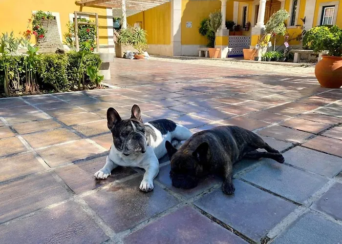 农家乐 Charm Azenha Dobidos Farm *