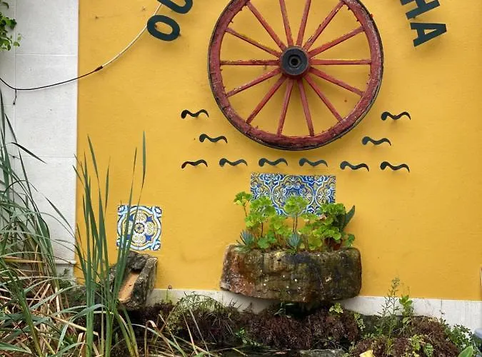 Charm Azenha Dobidos Farm ファームステイ *