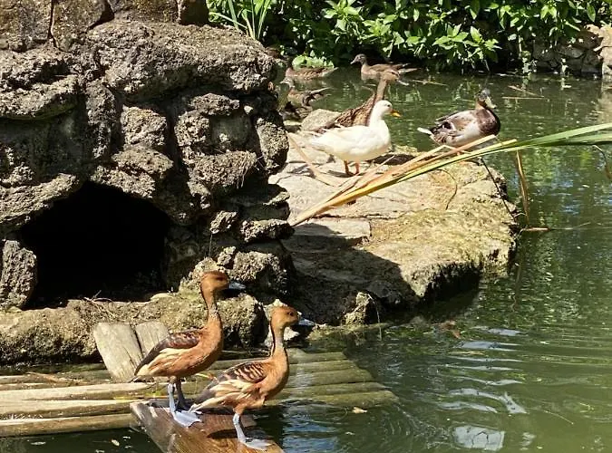 Charm Azenha Dobidos Farm *