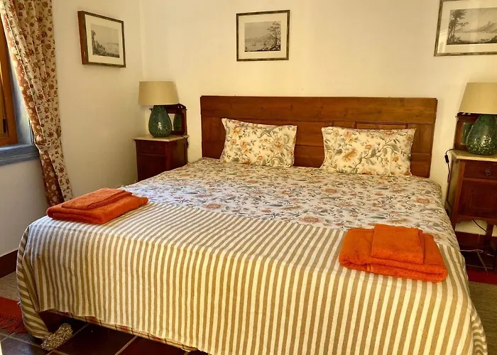 Charm Azenha Dobidos Farm ファームステイ Olho Marinho